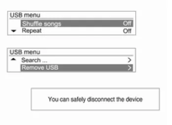 Anschließen des USB-Speichergeräts